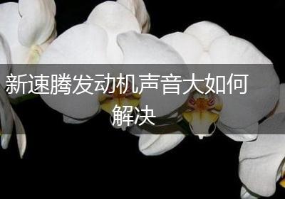 新速腾发动机声音大如何解决