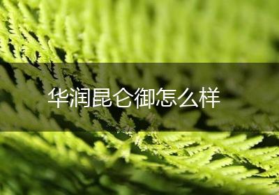 华润昆仑御怎么样