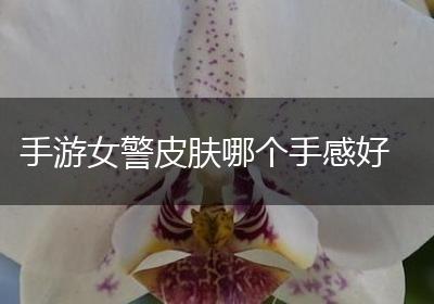 手游女警皮肤哪个手感好