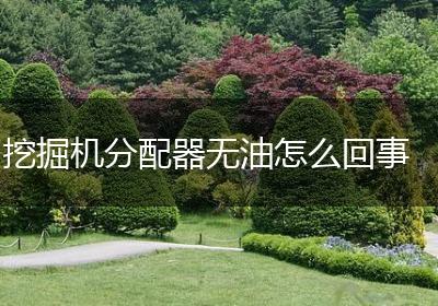 挖掘机分配器无油怎么回事