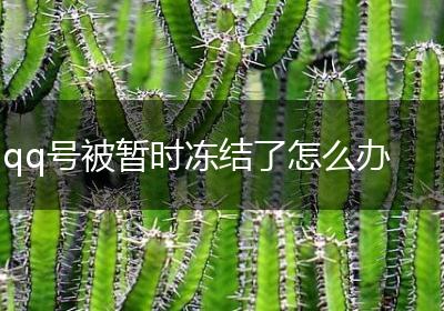 qq号被暂时冻结了怎么办