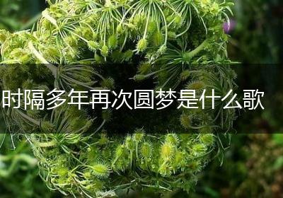 时隔多年再次圆梦是什么歌