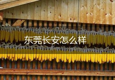 东莞长安怎么样