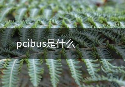 pcibus是什么