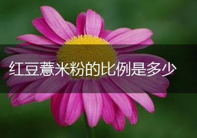 红豆薏米粉的比例是多少