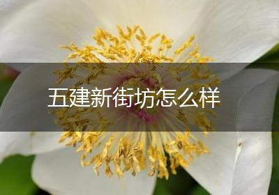 五建新街坊怎么样