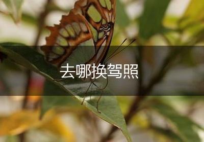 去哪换驾照