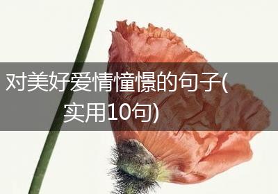 对美好爱情憧憬的句子(实用10句)