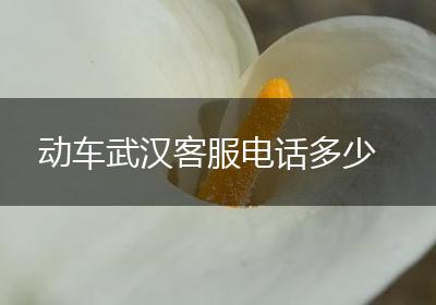 动车武汉客服电话多少