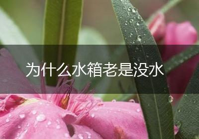 为什么水箱老是没水