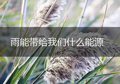 雨能带给我们什么能源