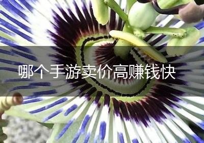 哪个手游卖价高赚钱快