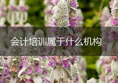 会计培训属于什么机构
