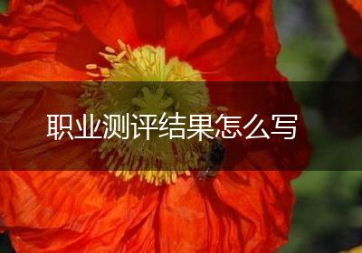 职业测评结果怎么写