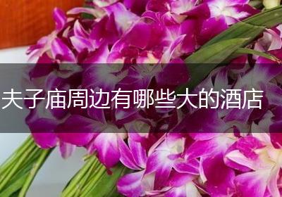 夫子庙周边有哪些大的酒店