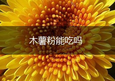 木薯粉能吃吗