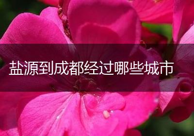 盐源到成都经过哪些城市