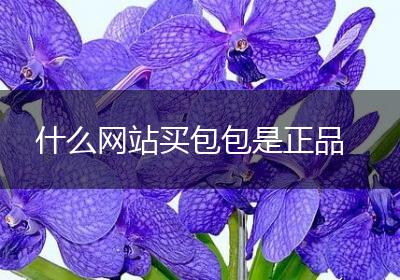 什么网站买包包是正品