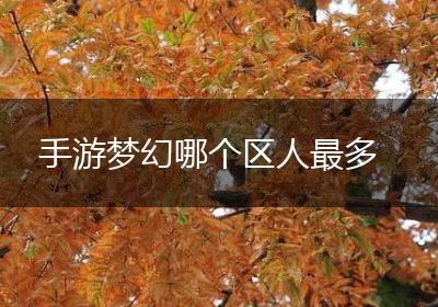 手游梦幻哪个区人最多