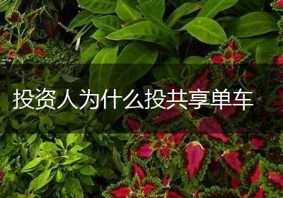 投资人为什么投共享单车