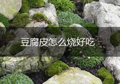 豆腐皮怎么烧好吃