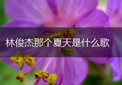 林俊杰那个夏天是什么歌
