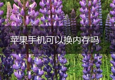 苹果手机可以换内存吗