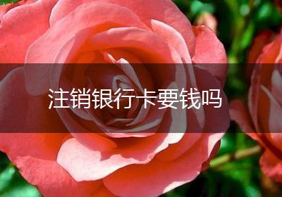 注销银行卡要钱吗
