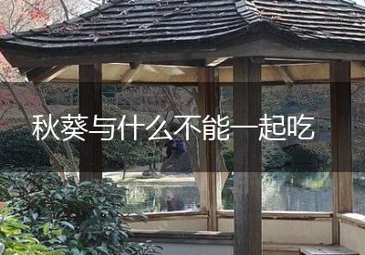 秋葵与什么不能一起吃