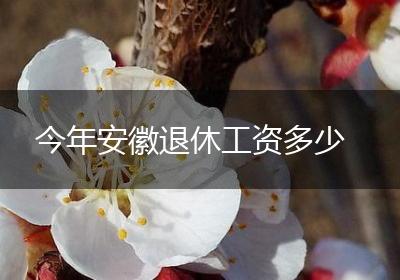 今年安徽退休工资多少