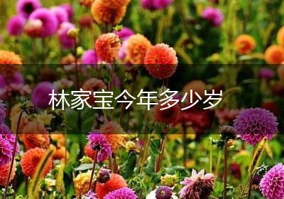 林家宝今年多少岁