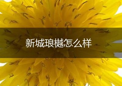 新城琅樾怎么样