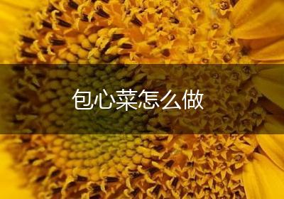 包心菜怎么做
