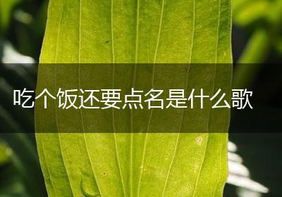 吃个饭还要点名是什么歌