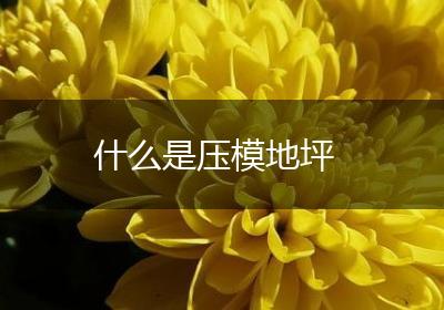 什么是压模地坪