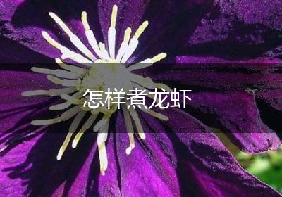 怎样煮龙虾