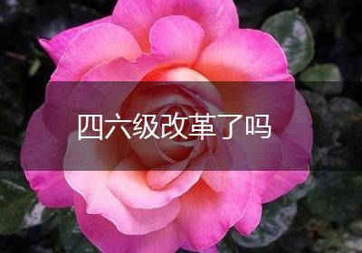 四六级改革了吗