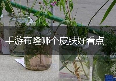 手游布隆哪个皮肤好看点