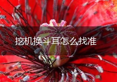 挖机换斗耳怎么找准