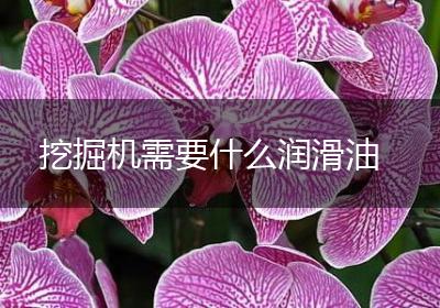 挖掘机需要什么润滑油
