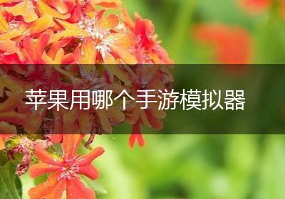 苹果用哪个手游模拟器