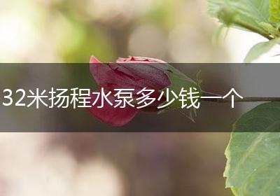 32米扬程水泵多少钱一个