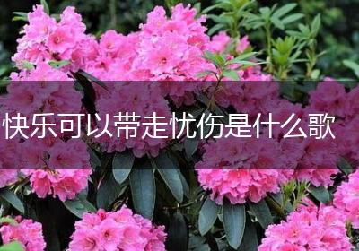 快乐可以带走忧伤是什么歌