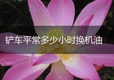 铲车平常多少小时换机油