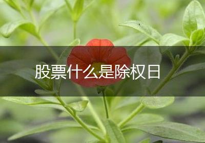 股票什么是除权日