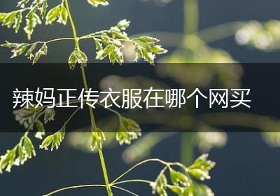 辣妈正传衣服在哪个网买