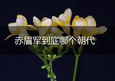 赤眉军到底哪个朝代