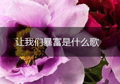 让我们暴富是什么歌