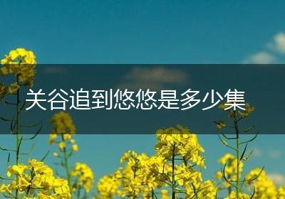 关谷追到悠悠是多少集