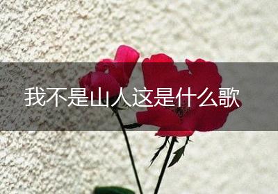 我不是山人这是什么歌